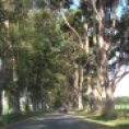 The road to El Ensueño, Uruguay